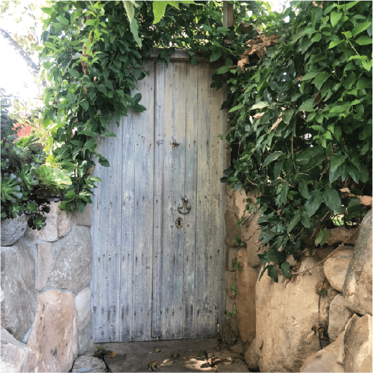 Automatic gate and access control